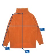 LACOSTE（ラコステ）ニット・セーター オレンジ サイズ:34(XXS位) レディース/2200657569013