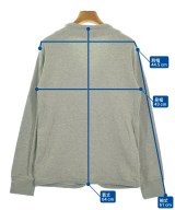 LACOSTE（ラコステ）パーカー グレー サイズ:2(S位) レディース/2200662847052