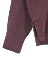 LACOSTE（ラコステ）パーカー 赤 サイズ:36(XS位) レディース/2200669519037