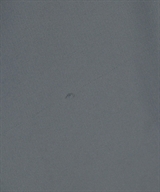 FREAK'S STORE（フリークスストア）カジュアルシャツ 青 サイズ:L メンズ/2200619738075