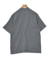 ANATOMICA（アナトミカ）Tシャツ・カットソー グレー サイズ:L メンズ/2200667500198