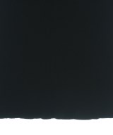 Whim Gazette（ウィムガゼット）ノースリーブ 黒 サイズ:F レディース/2200710321237