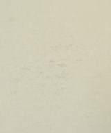 Mr.GENTLEMAN（ミスタージェントルマン）Tシャツ・カットソー 白 サイズ:L メンズ/2200650104204