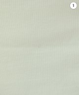 Plage（プラージュ）Tシャツ・カットソー 白 サイズ:F レディース/2200691154244