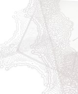 LILY BROWN（リリーブラウン）小物類（その他） 白 サイズ:- レディース/2200692370247