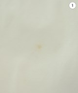 ADAM ET ROPE（アダムエロペ）ワンピース 白 サイズ:F レディース/2200619693091