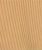 ADAM ET ROPE（アダムエロペ）Tシャツ・カットソー ベージュ サイズ:F レディース/2200671823023