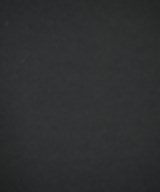 JOURNAL STANDARD relume（ジャーナルスタンダードレリューム）ロング・マキシ丈スカート 黒 サイズ:F レディース/2200640161088