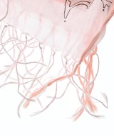 TSUMORI CHISATO（ツモリチサト）ストール ピンク サイズ:- レディース/2200643726383