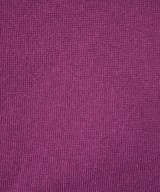 ROSSO（ロッソ）Tシャツ・カットソー 紫 サイズ:F レディース/2200641231094