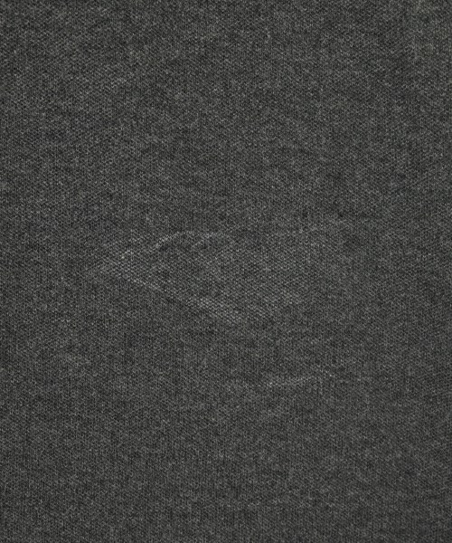 Polo Ralph Lauren（ポロラルフローレン）ポロシャツ グレー サイズ:S レディース/2200664299071