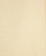 PLAIN PEOPLE（プレインピープル）ダッフルコート 白 サイズ:F レディース/2200636346017