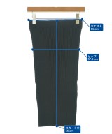 DEMYLEE（デミリー）ロング・マキシ丈スカート 黒 サイズ:S レディース/2200631142850