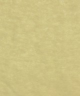 DEMYLEE（デミリー）その他 ベージュ サイズ:XS レディース/2200631210269