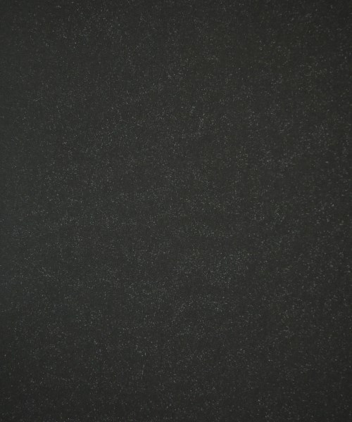 ENFOLD（エンフォルド）その他 黒 サイズ:34(XS位) レディース/2200650201064