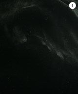 ENFOLD（エンフォルド）その他 黒 サイズ:38(M位) レディース/2200666552105