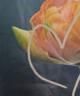 Reflect（リフレクト）Tシャツ・カットソー 黒 サイズ:9(M位) レディース/2200668982023