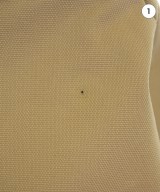 HERSCHEL（ハーシェル）バックパック・リュック ベージュ サイズ:- レディース/2200712632270