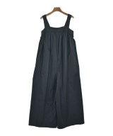 Demi-Luxe BEAMS オールインワン/サロペット