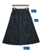 Demi-Luxe BEAMS（デミルクスビームス）ロング・マキシ丈スカート 黒 サイズ:36(S位) レディース/2200609422106