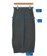 Demi-Luxe BEAMS（デミルクスビームス）ロング・マキシ丈スカート グレー サイズ:38(M位) レディース/2200614741148