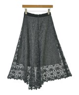 Demi-Luxe BEAMS（デミルクスビームス）ロング・マキシ丈スカート グレー サイズ:36(S位) レディース/2200672528019