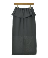 Demi-Luxe BEAMS（デミルクスビームス）ロング・マキシ丈スカート グレー サイズ:36(S位) レディース/2200721503097