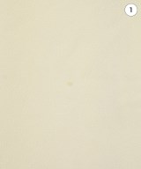 Nolley's Sophi（ノーリーズソフィー）ロング・マキシ丈スカート 白 サイズ:34(XS位) レディース/2200622878058