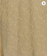 Acne Studios（アクネストゥディオズ）カジュアルシャツ ベージュ サイズ:46(M位) メンズ/2200626949075