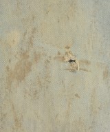 Acne Studios（アクネストゥディオズ）デニムパンツ 青 サイズ:30(M位) メンズ/2200645232066