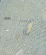 Acne Studios（アクネストゥディオズ）デニムパンツ 青 サイズ:XXS メンズ/2200722184042