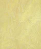 SENSE OF PLACE by URBAN RESEARCH（センスオブプレイスバイアーバンリサーチ）その他 白 サイズ:ONE レディース/2200614399219