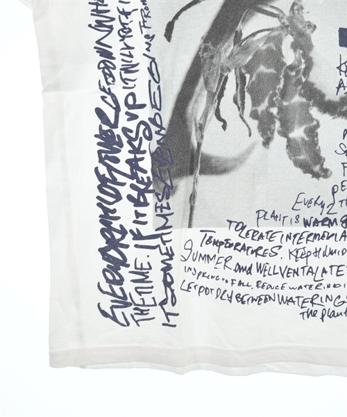 THE POOL（ザ　プール）Tシャツ・カットソー 白 サイズ:XS レディース/2200627339257