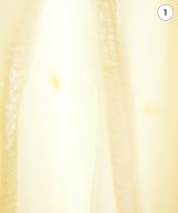 CP SHADES（シーピーシェイズ）ロング・マキシ丈スカート 白 サイズ:XS レディース/2200640715304