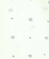CLAUDIE PIERLOT（クローディーピエルロ）カジュアルシャツ 白 サイズ:38(M位) レディース/2200699182171