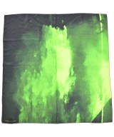 Agnes b.（アニエスベー）バンダナ・スカーフ 緑 サイズ:- レディース/2200675055031