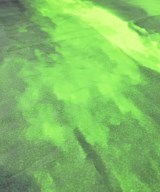 Agnes b.（アニエスベー）バンダナ・スカーフ 緑 サイズ:- レディース/2200675055031