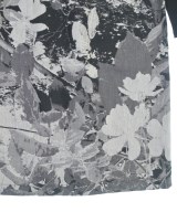 Agnes b.（アニエスベー）ワンピース 黒 サイズ:1(S位) レディース/2200658456022