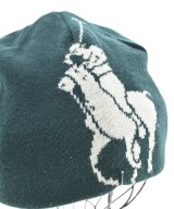 Polo Ralph Lauren（ポロラルフローレン）ニットキャップ・ビーニー 緑 サイズ:- メンズ/2200724130061