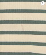 IENA（イエナ）Tシャツ・カットソー 白 サイズ:-(XS位) レディース/2200614294019