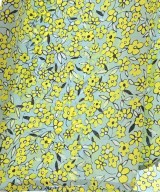 IENA（イエナ）シャツワンピース 青 サイズ:38(M位) レディース/2200619723125