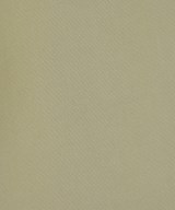 IENA（イエナ）その他 緑 サイズ:40(M位) レディース/2200616660010