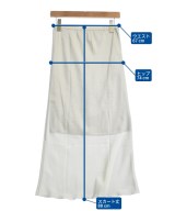 IENA（イエナ）ロング・マキシ丈スカート グレー サイズ:38(M位) レディース/2200666359469