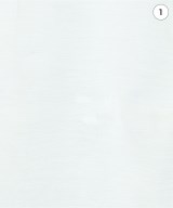 IENA（イエナ）ブラウス 白 サイズ:F レディース/2200730313106