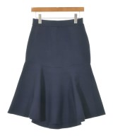 Spick and Span（スピックアンドスパン）ロング・マキシ丈スカート 紺 サイズ:-(M位) レディース/2200632162079
