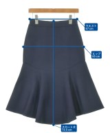 Spick and Span（スピックアンドスパン）ロング・マキシ丈スカート 紺 サイズ:-(M位) レディース/2200632162079