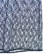 Spick and Span（スピックアンドスパン）ロング・マキシ丈スカート 紺 サイズ:F レディース/2200619376079