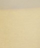 Spick and Span（スピックアンドスパン）ロング・マキシ丈スカート 白 サイズ:-(M位) レディース/2200609926116