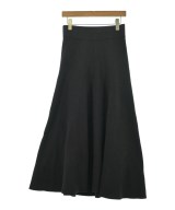Spick and Span（スピックアンドスパン）ロング・マキシ丈スカート 黒 サイズ:-(M位) レディース/2200675891127