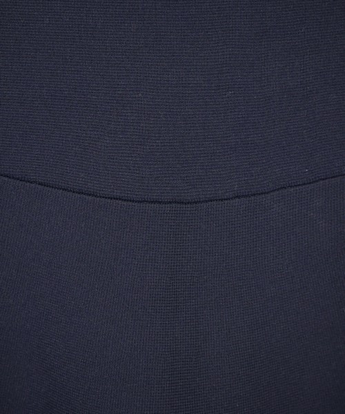 Spick and Span（スピックアンドスパン）ロング・マキシ丈スカート 紺 サイズ:-(M位) レディース/2200631557180